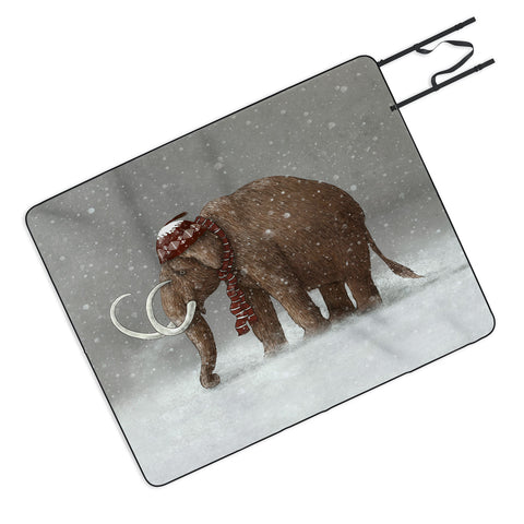 Terry Fan The Ice Age Sucked Picnic Blanket