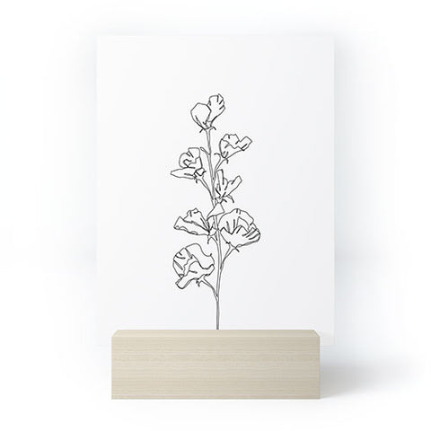The Colour Study Cotton flower illustration Mini Art Print