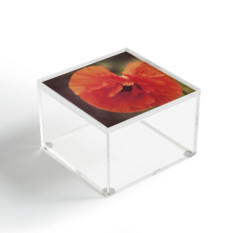 The Light Fantastic Bashful Acrylic Box