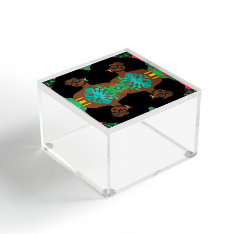 The Pairabirds Eva I Acrylic Box