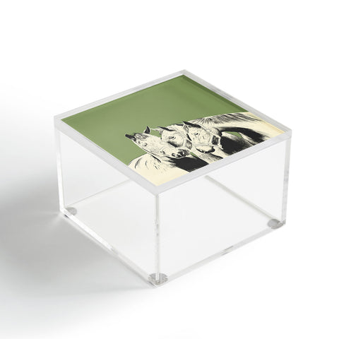 The Red Wolf Horses Acrylic Box