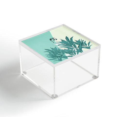 The Red Wolf The Blue Nature Acrylic Box
