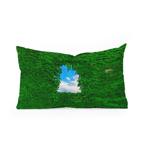TristanVision Birds Window Oblong Throw Pillow