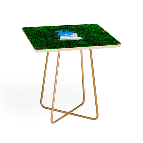 TristanVision Birds Window Side Table