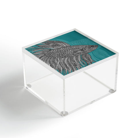 Valentina Ramos Beta Fish Acrylic Box