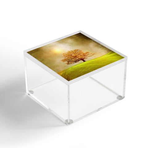 Viviana Gonzalez Energy And Love Acrylic Box