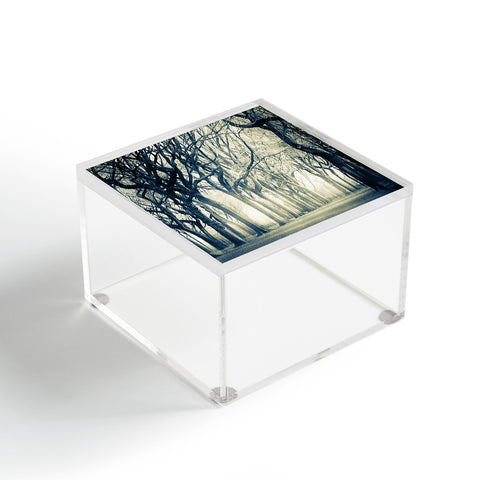 Viviana Gonzalez Forest I Acrylic Box