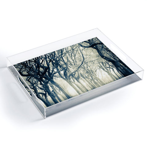 Viviana Gonzalez Forest I Acrylic Tray