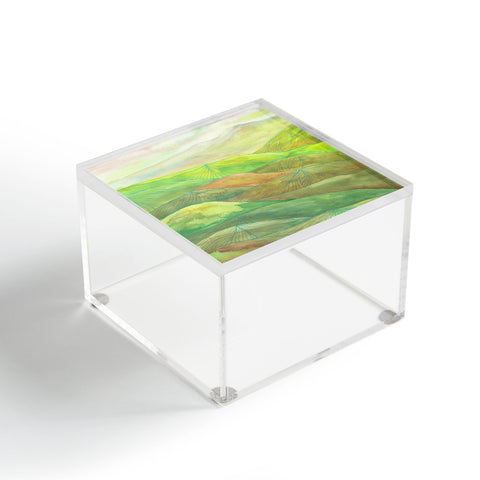 Viviana Gonzalez Lines in the mountains VII Acrylic Box