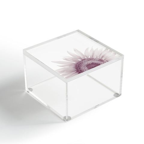 Viviana Gonzalez Minimal Spring I Acrylic Box