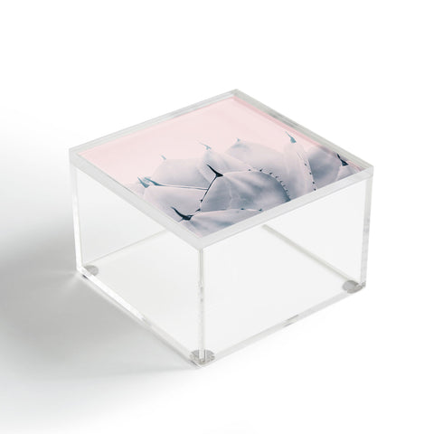 Viviana Gonzalez Minimal Spring II Acrylic Box