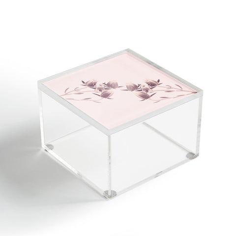 Viviana Gonzalez Minimal Spring III Acrylic Box