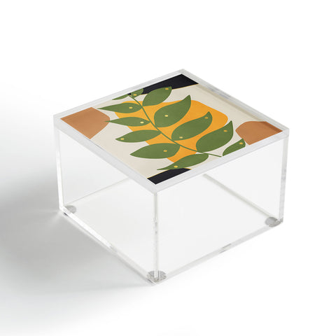 Viviana Gonzalez Modern botanical composition 1 Acrylic Box