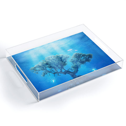 Viviana Gonzalez Underwater Tree Acrylic Tray