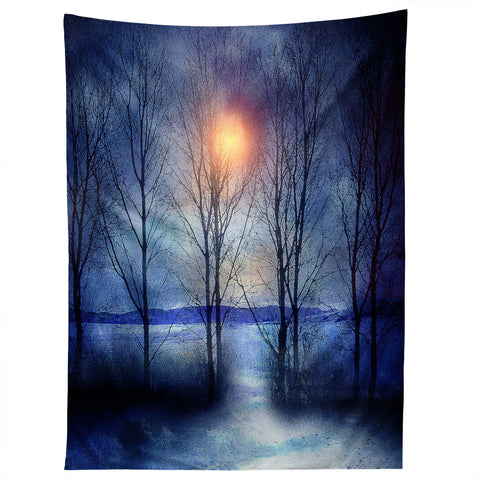 Viviana Gonzalez Winter Sonata Tapestry