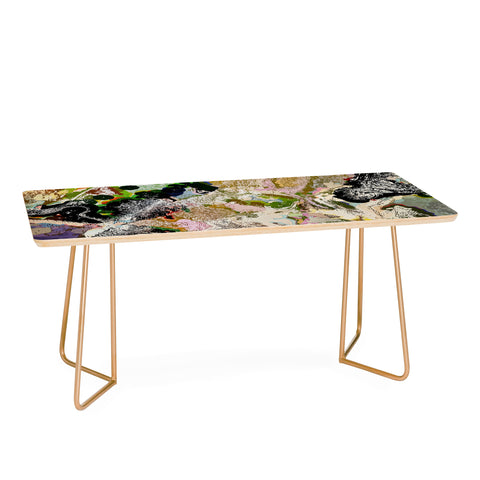 83 Oranges Echoes Beneath the Surface Coffee Table