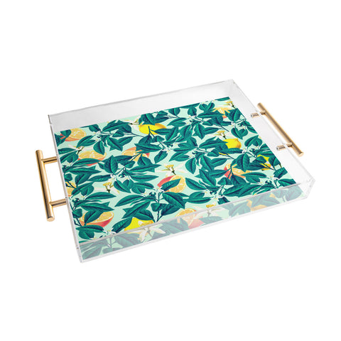 83 Oranges Lemon Pattern Acrylic Tray