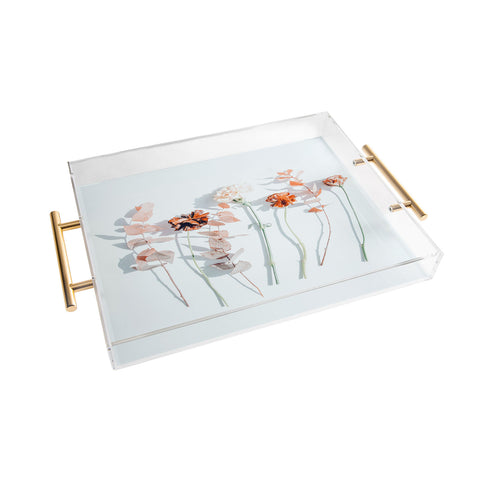 83 Oranges Minima Acrylic Tray