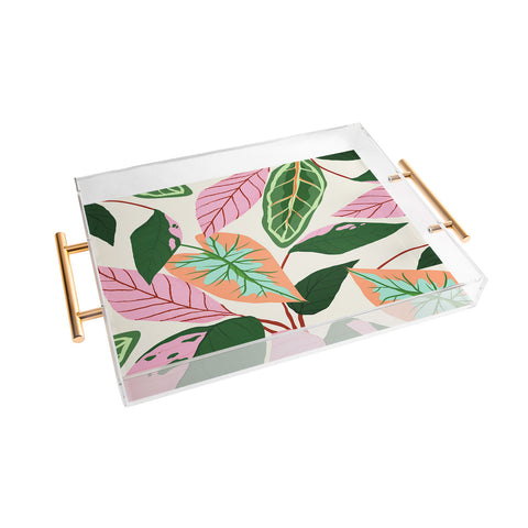 83 Oranges The Inseparable V01 Nature Botanicals Acrylic Tray