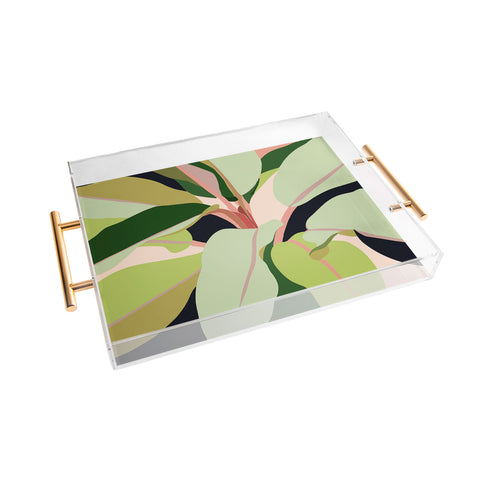 83 Oranges To Plant a Garden Acrylic Tray