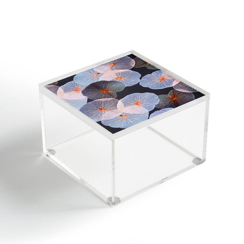 83 Oranges Translucence Acrylic Box