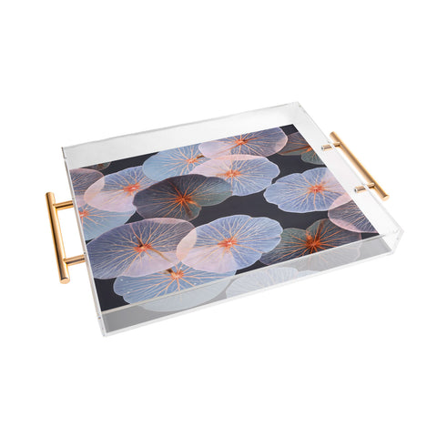 83 Oranges Translucence Acrylic Tray