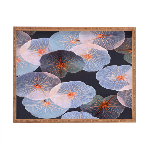 83 Oranges Translucence Rectangular Tray