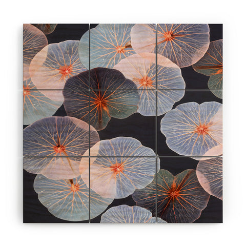 83 Oranges Translucence Wood Wall Mural