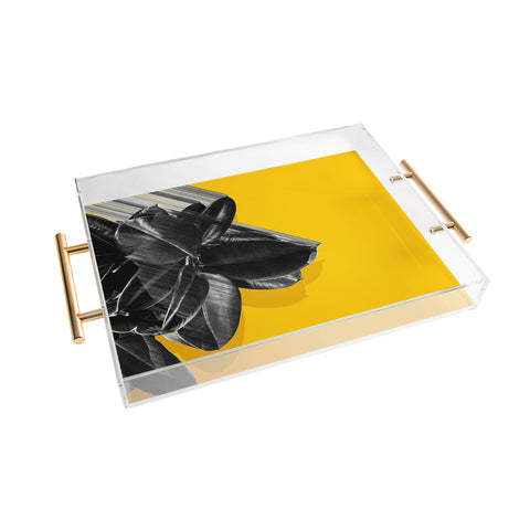 Adam Priester Crush Into Orange Acrylic Tray