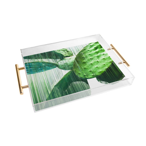Adam Priester Fast Cacti Acrylic Tray