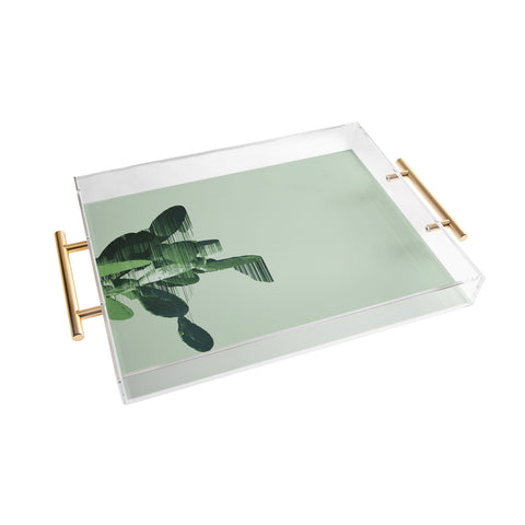 Adam Priester Get your cactus sorted Acrylic Tray