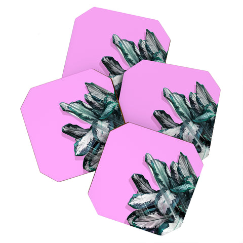 Adam Priester Plant Dynamics Coaster Set