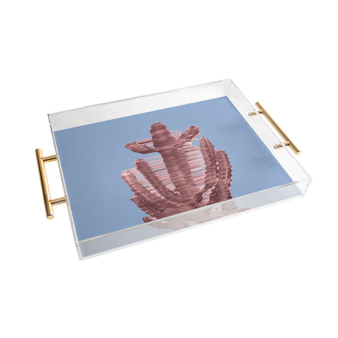 Adam Priester Rose Quartz Cactus Acrylic Tray