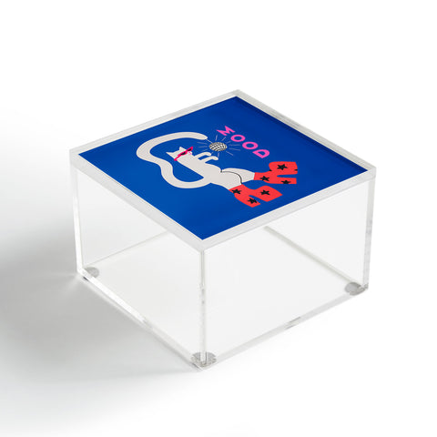 Aley Wild Mood Cat Acrylic Box