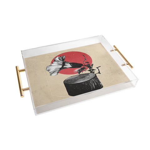 Ali Gulec Gramophone Acrylic Tray