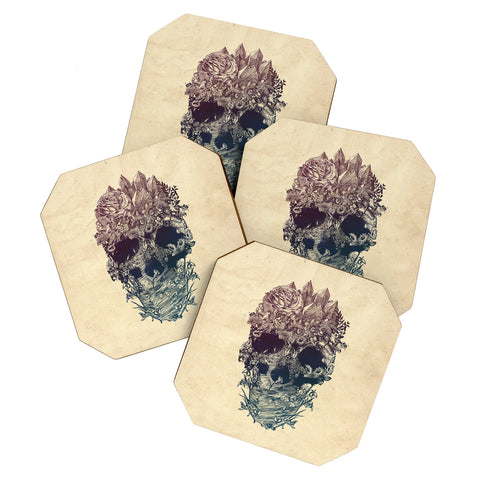 Ali Gulec Skull Floral Coaster Set