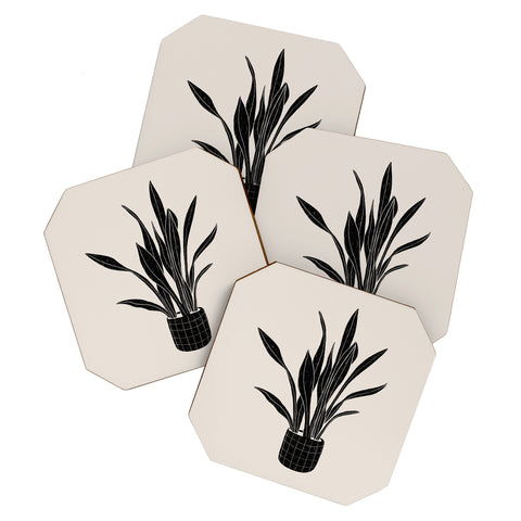 Alisa Galitsyna Black and White Snake Plant Coaster Set
