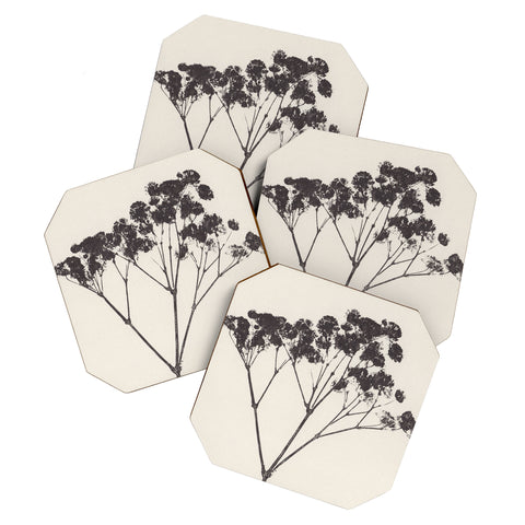 Alisa Galitsyna Blooms of Gypsophila 1 Coaster Set