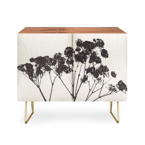 Alisa Galitsyna Blooms of Gypsophila 1 Credenza