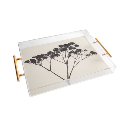 Alisa Galitsyna Blooms of Gypsophila 1 Acrylic Tray