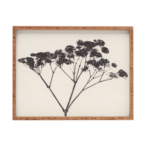 Alisa Galitsyna Blooms of Gypsophila 1 Rectangular Tray