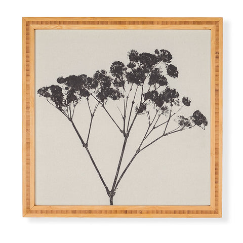 Alisa Galitsyna Blooms of Gypsophila 1 Framed Wall Art