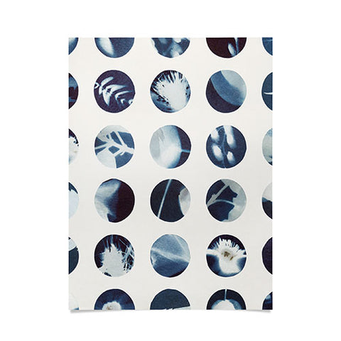 Alisa Galitsyna Botanical Cyanotypes Poster