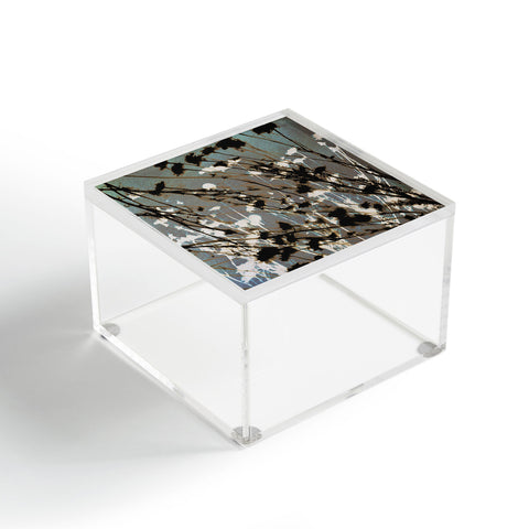 Alisa Galitsyna Magic in the Ordinary 12 Acrylic Box