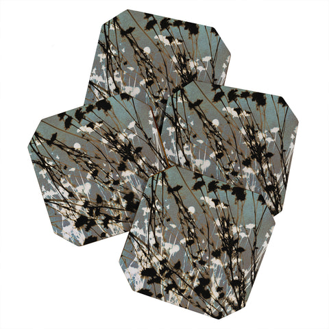 Alisa Galitsyna Magic in the Ordinary 12 Coaster Set