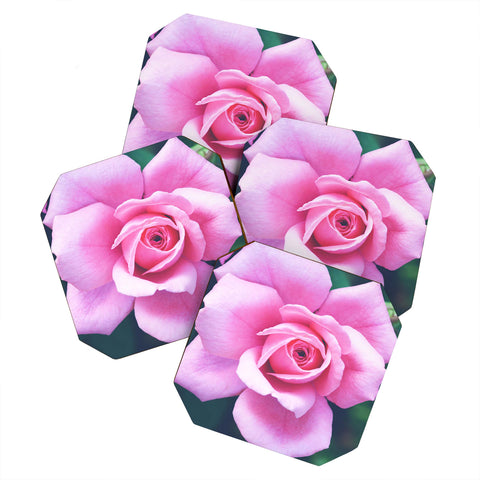 Allyson Johnson Darling Pink Rose Coaster Set