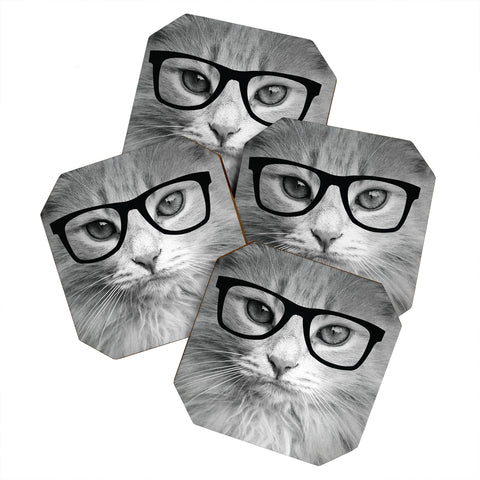 Allyson Johnson Hippest Cat Coaster Set