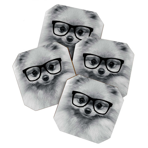 Allyson Johnson Hippest Pomeranian Coaster Set