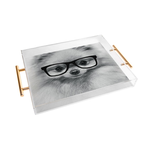 Allyson Johnson Hippest Pomeranian Acrylic Tray