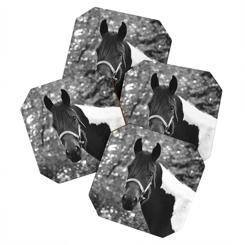 Allyson Johnson Horse Portrait Coaster Set